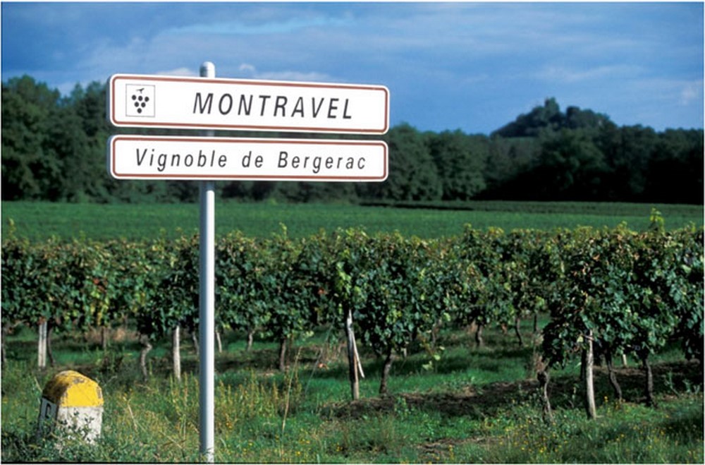 montravel wine copier